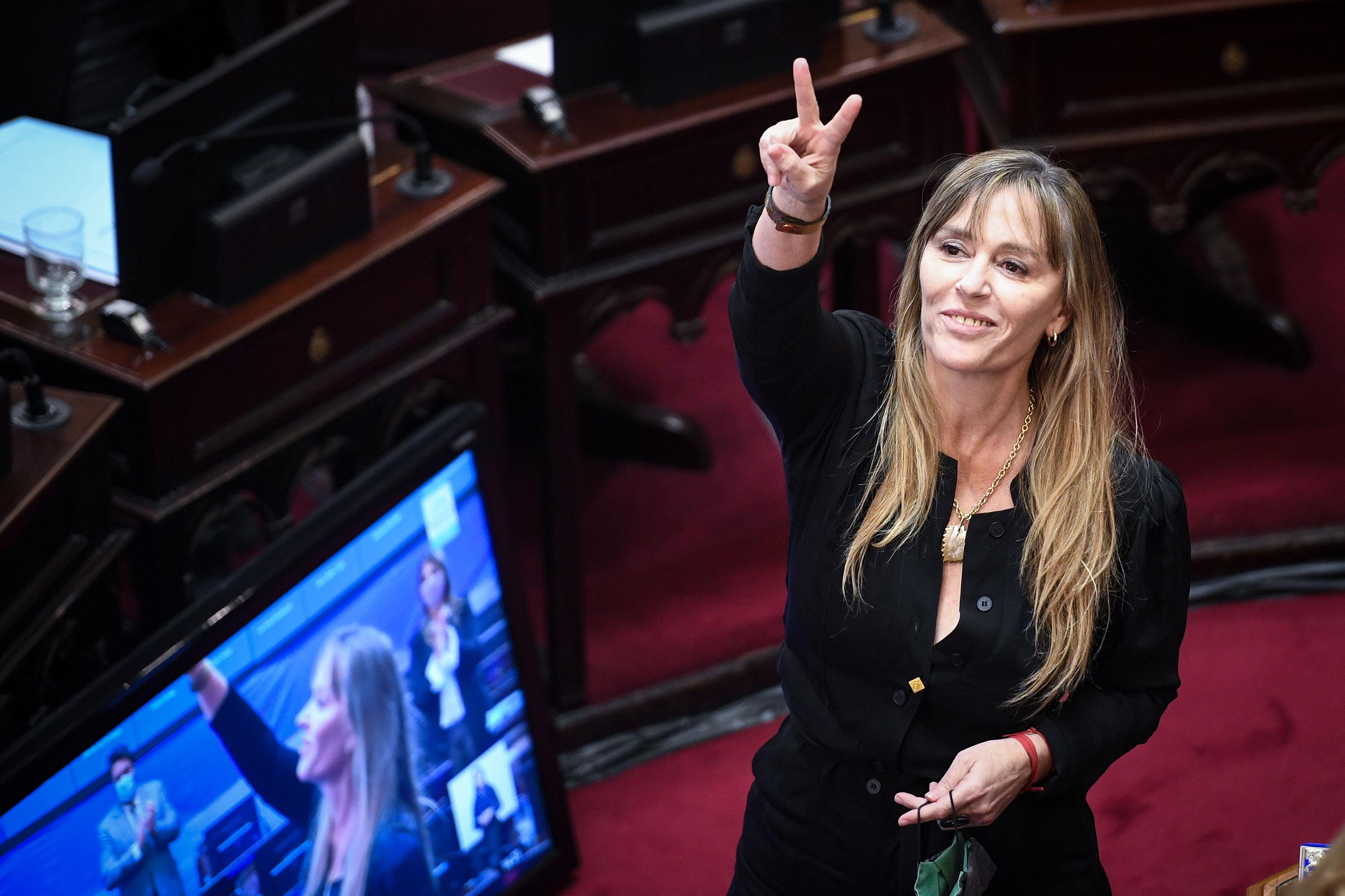 Di Tullio impugnó al senador libertario Benegas Lynch por su empresa de venta de campos a extranjeros